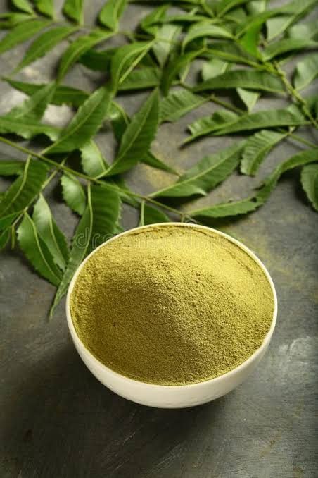 Curry Leaf Powder